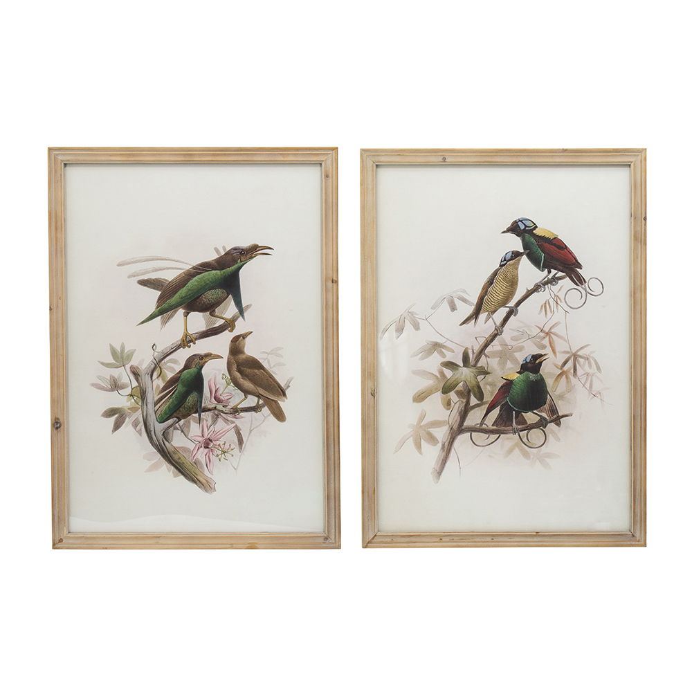 Bird Framed Print (Set of 2) - Multicolor